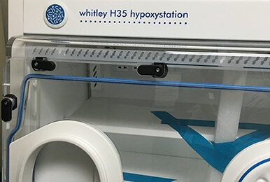 H35 低氧工作站